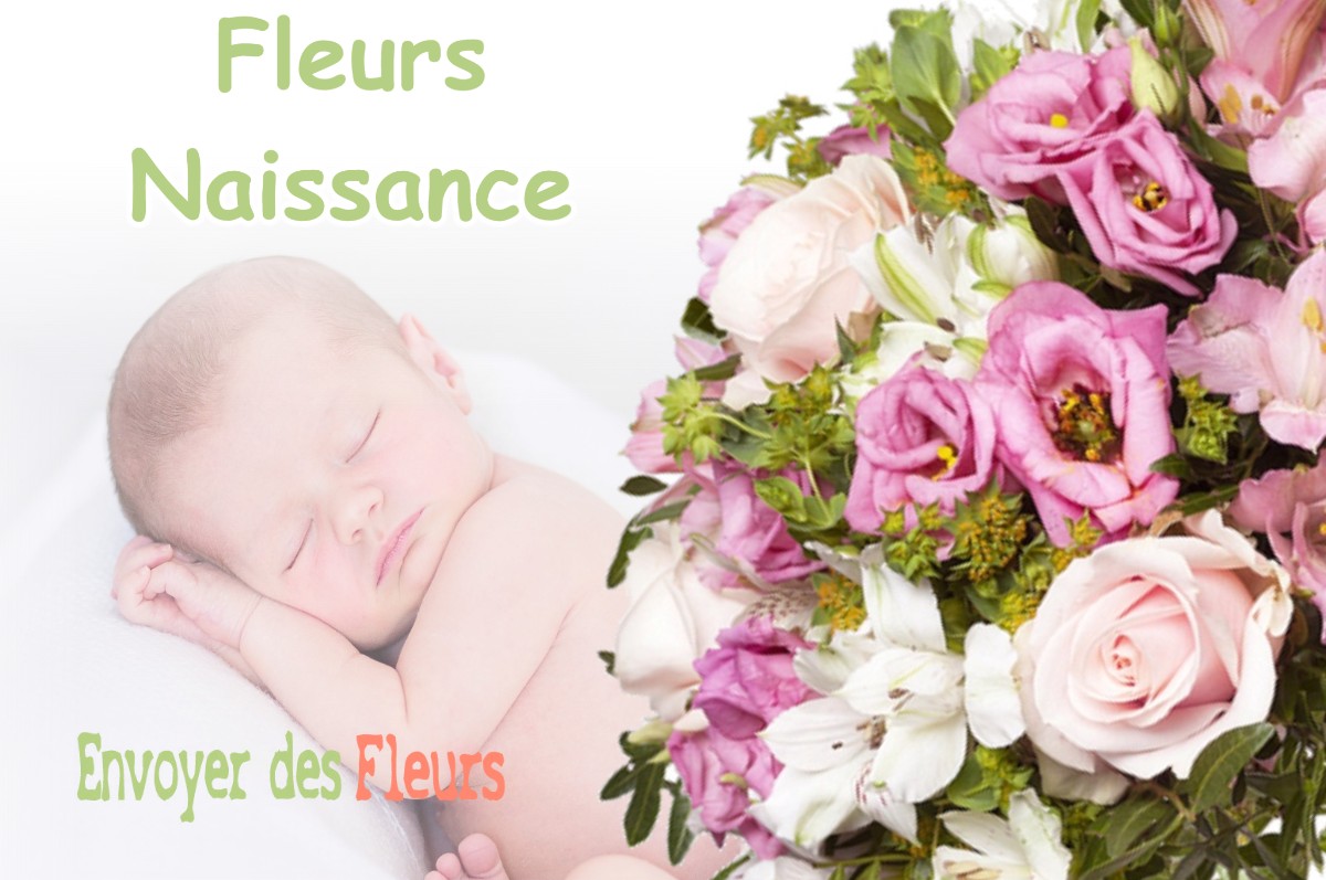 lIVRAISON FLEURS NAISSANCE à MONTESQUIEU-VOLVESTRE