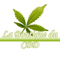 LA BOUTIQUE DU CBD MONTESQUIEU-VOLVESTRE 